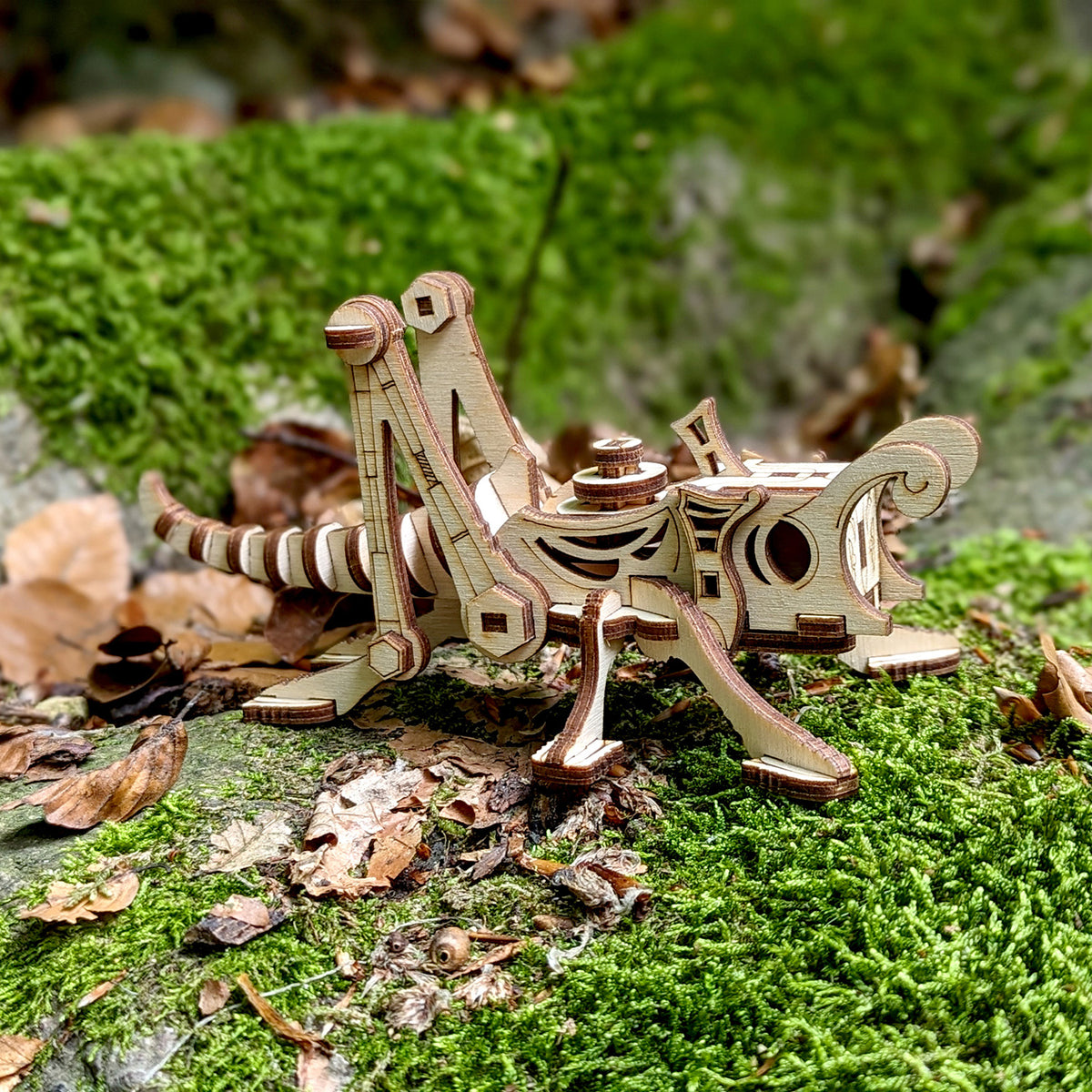 Forge Insect Steampunk Grasshopper - 3D Insect Model – Glowforge Shop