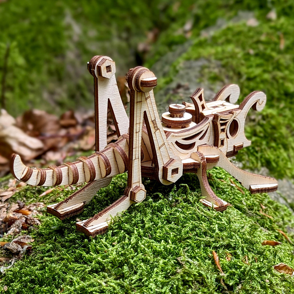 Forge Insect Steampunk Grasshopper - 3D Insect Model – Glowforge Shop