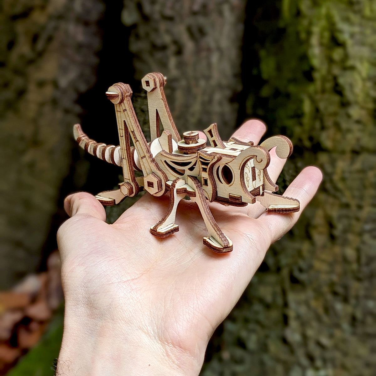 Forge Insect Steampunk Grasshopper - 3D Insect Model – Glowforge Shop