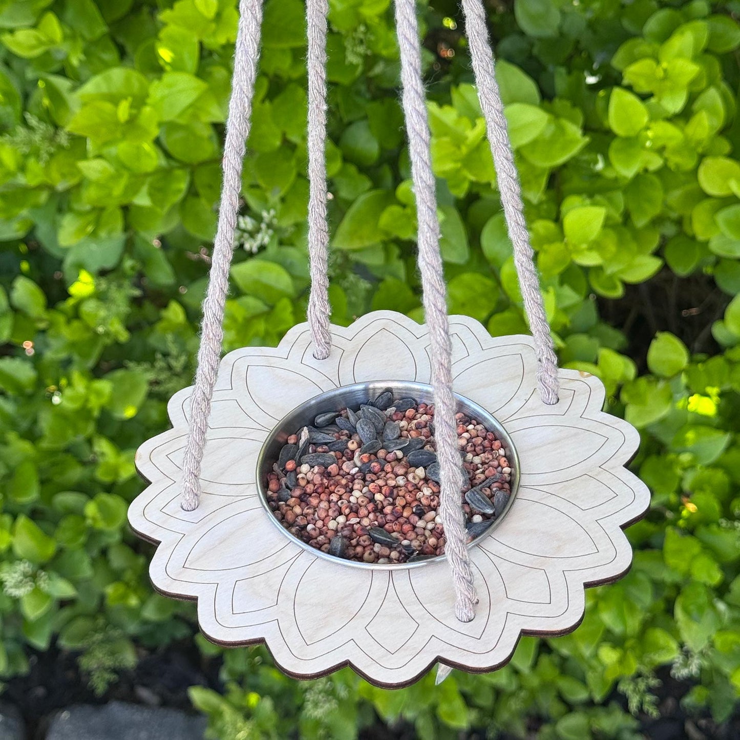 Sunflower Bird Feeder Kids Craft - Glowforge
