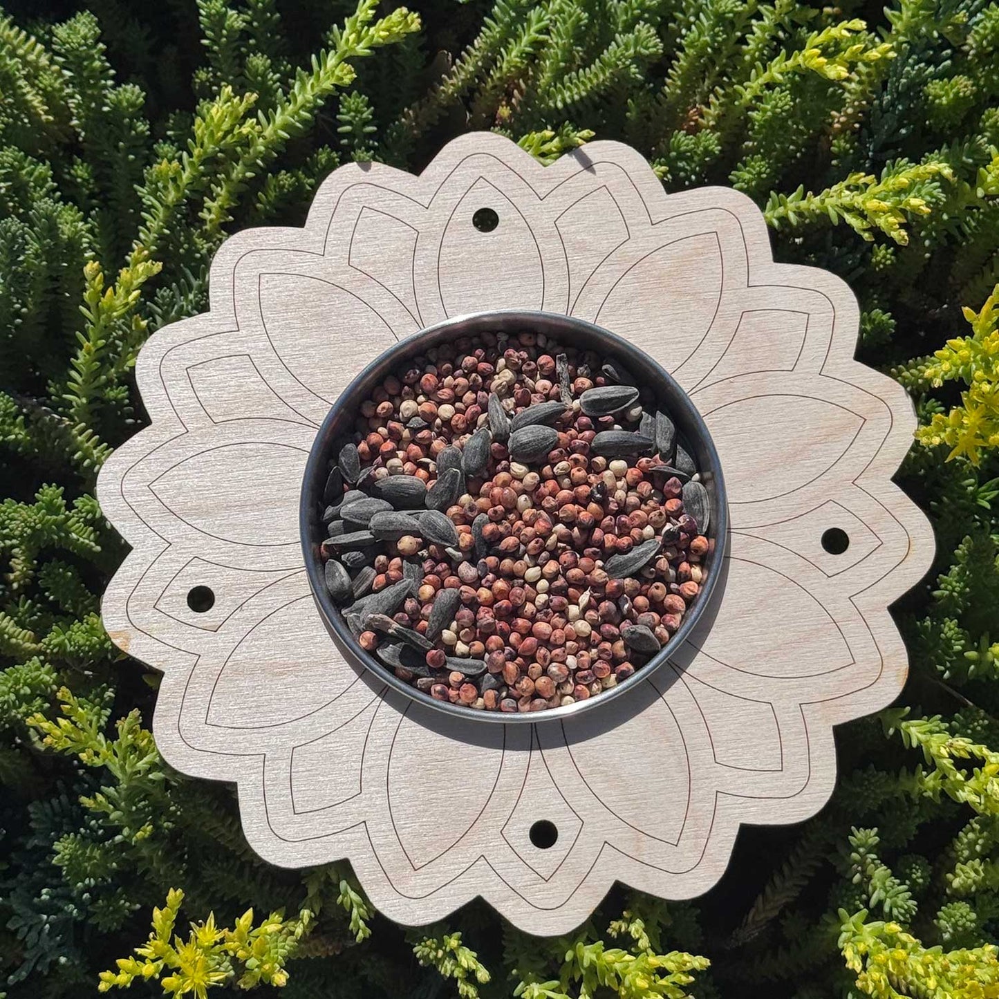Sunflower Bird Feeder Kids Craft - Glowforge