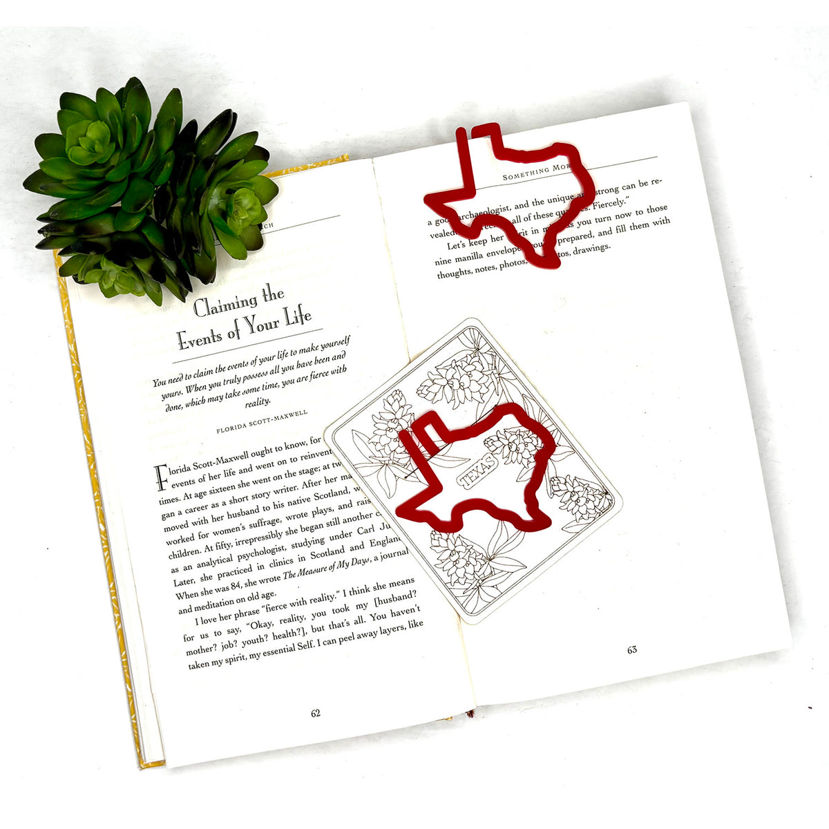 Texas Shaped Bookmark with Card Backer - Paperclip - Snack Bag Closure ...