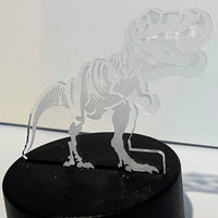 Tyrannosaurus "T-Rex" Fossil Glow LED Nightlight Insert