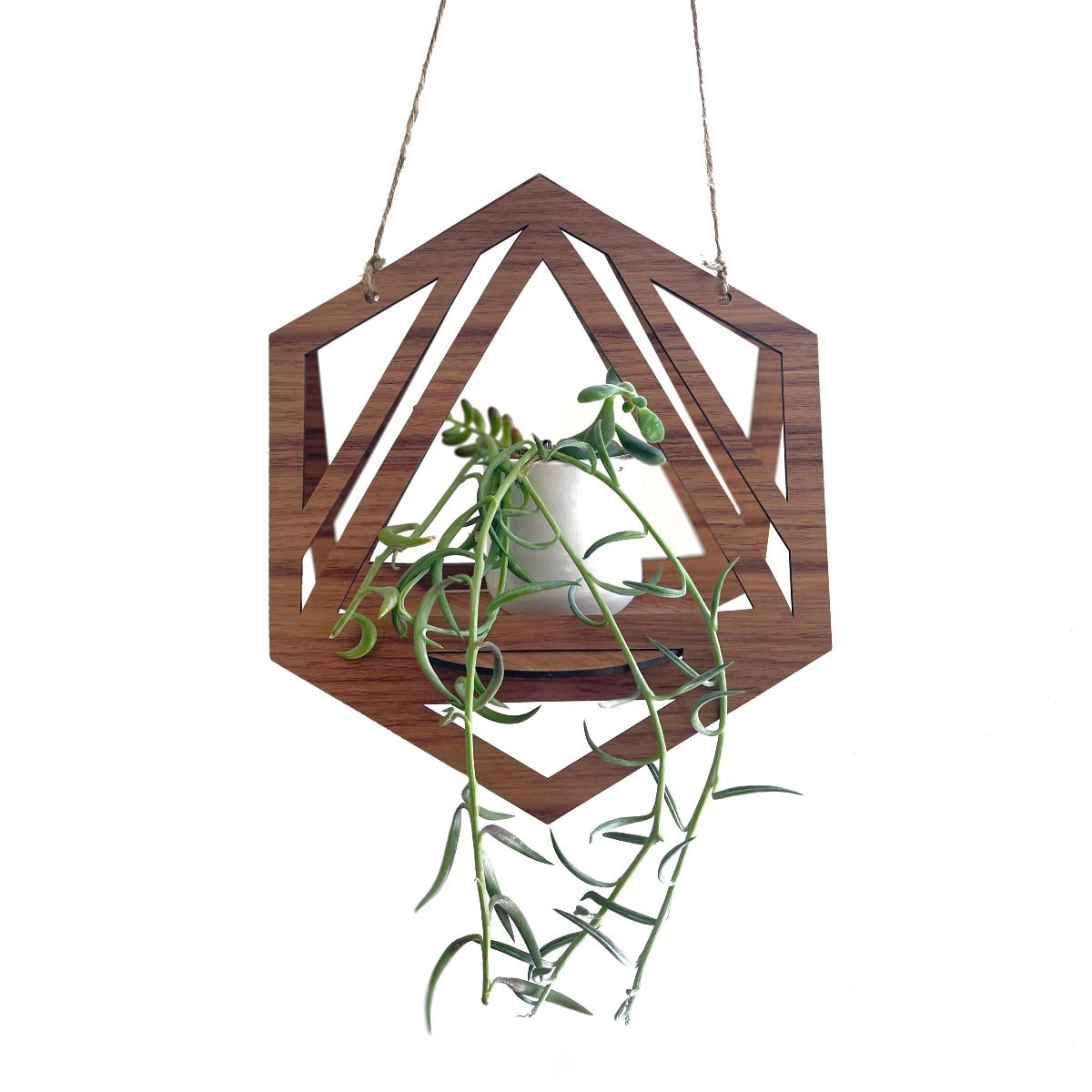 Geometric Hanging Planter