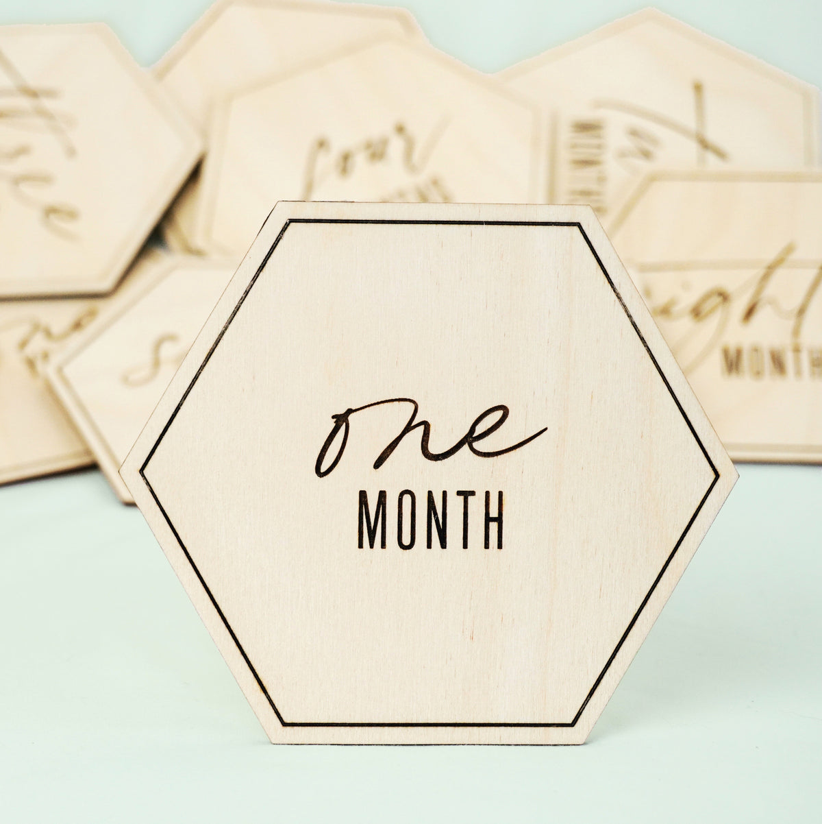 Monthly Baby Milestone Decorative Signs (Set of 12) – Glowforge Shop