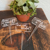 Plant Stakes (Set of 3)