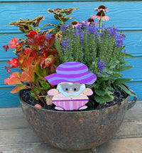 August Gnome