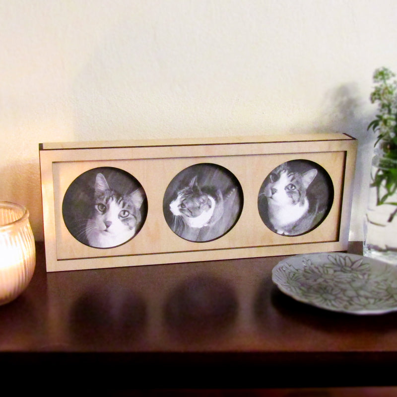 Interchangeable 3-Photo Picture Frame