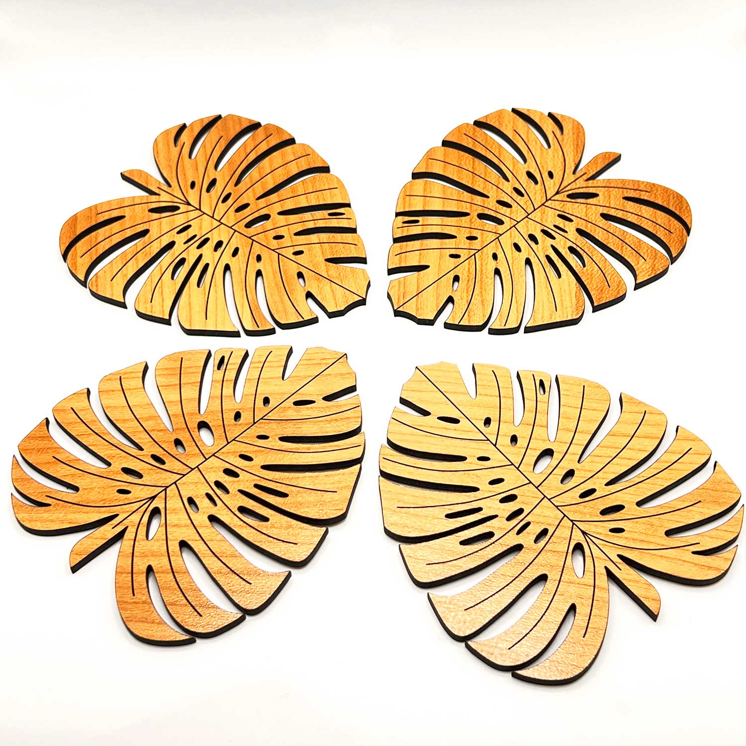 Hawaiian Monstera Leaf Coasters – Glowforge Shop