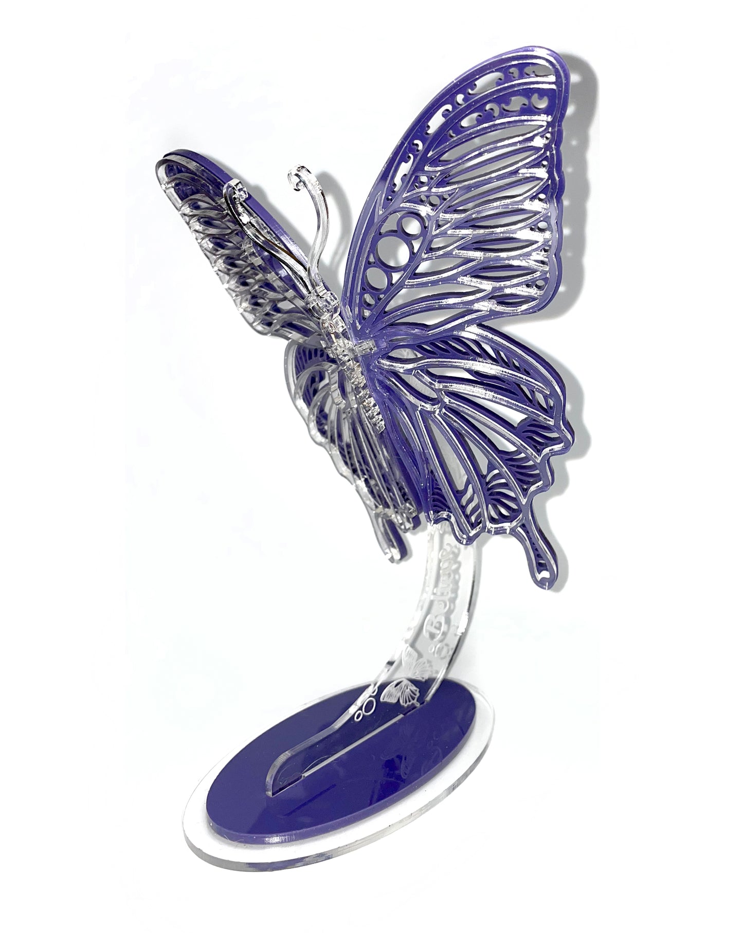 Butterfly in Flight with Stand