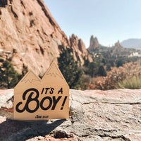 It's a Boy Mountain Gender Reveal Sign
