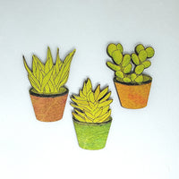 Spectacular Succulent Magnets (Set of 3)