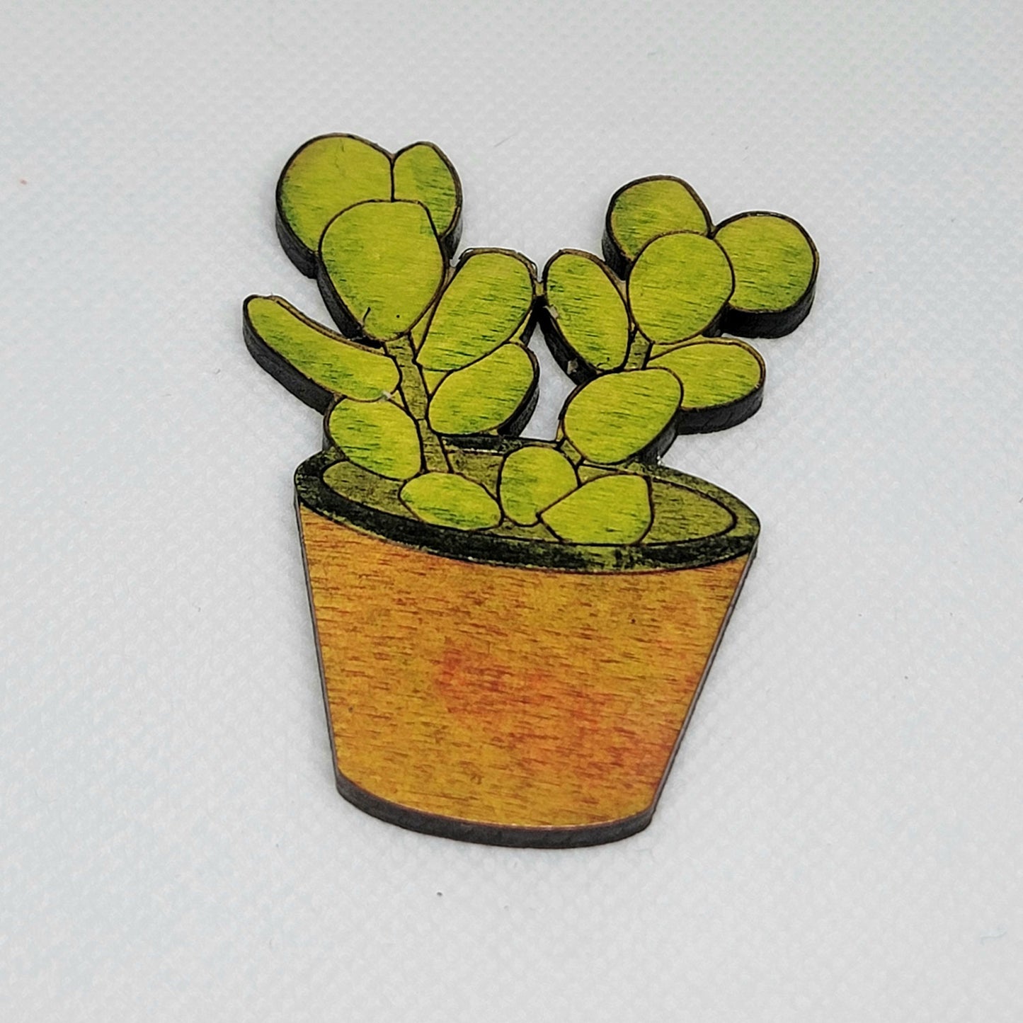 Spectacular Succulent Magnets (Set of 3)