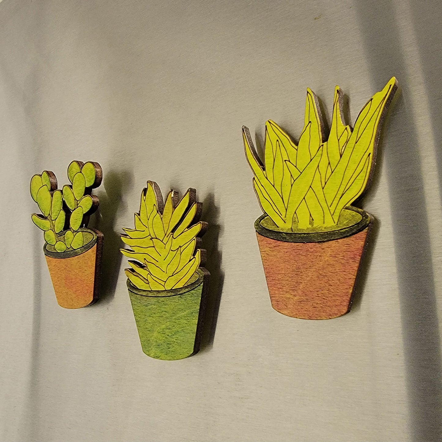 Spectacular Succulent Magnets (Set of 3)