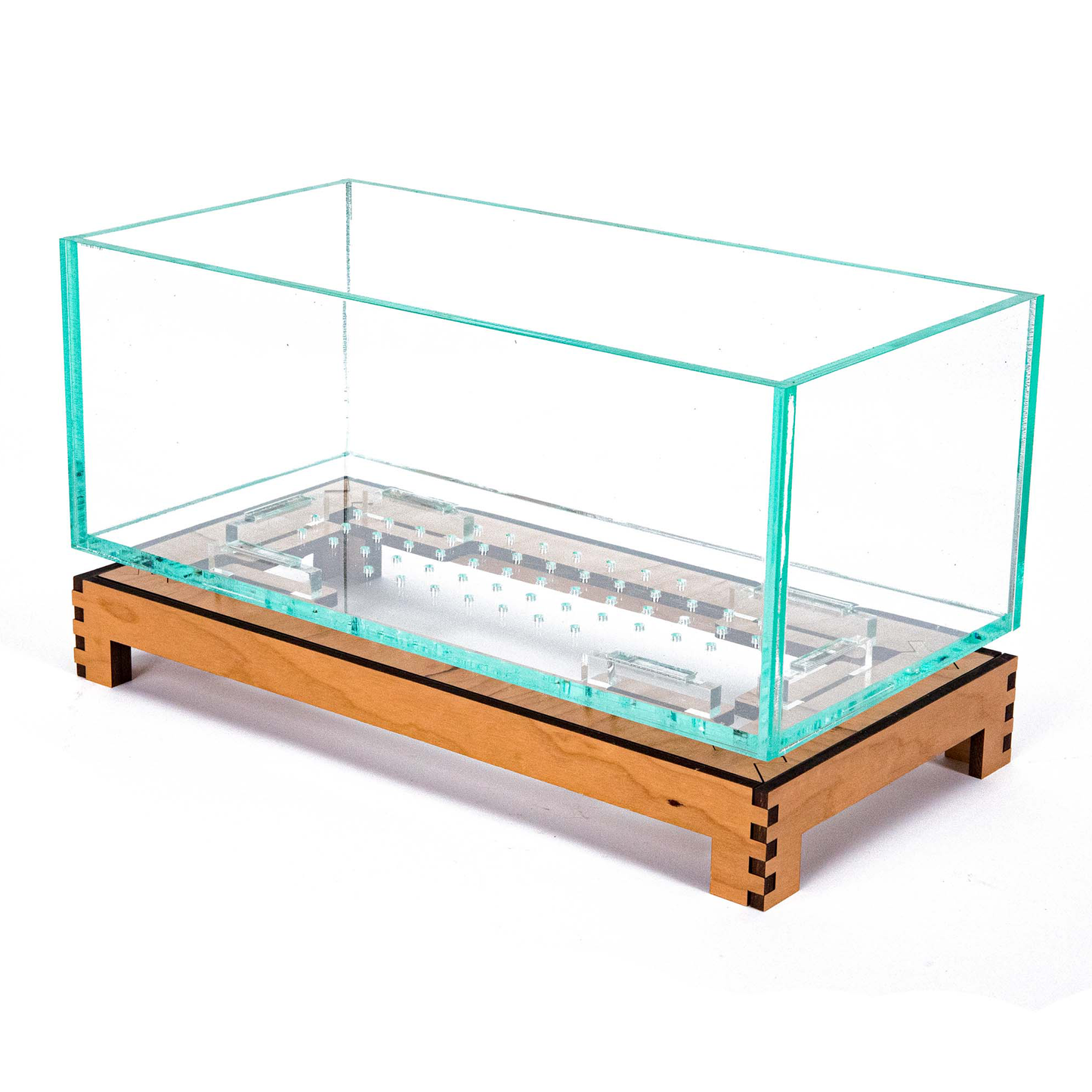 Large Clear Planter with Raised Stand